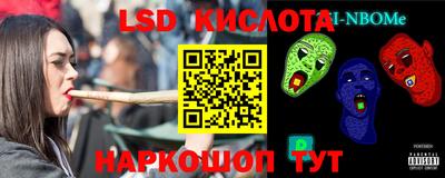 гашик Донской