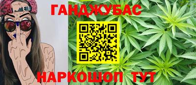 гашик Донской