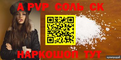 гашик Донской