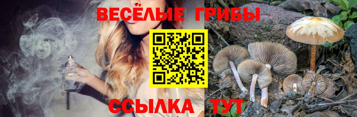 Мирный  Галлюциногенные грибы прущие грибы  Вход с VPN 